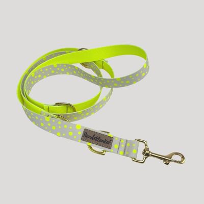 Laisse pour chien Hello Summer (rPet) 2m