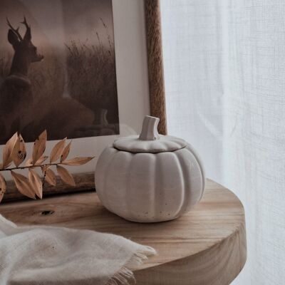 Cedar & Sandalwood Cement Gourd/Jar Soy Candle