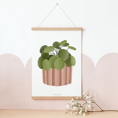Poster Pianta d'appartamento Pilea - Stampa botanica della pianta Boho