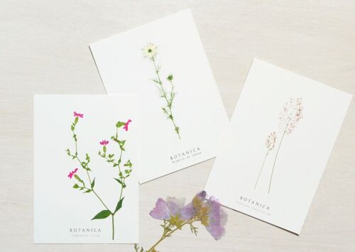 Lot de 10 cartes florales • collection Botanica • A6 (enveloppes incluses)