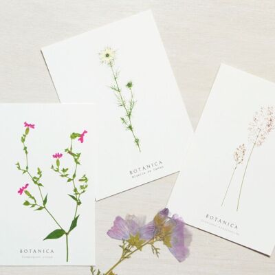 Set di 9 cartoline floreali • Collezione Botanica • A6 (buste incluse)