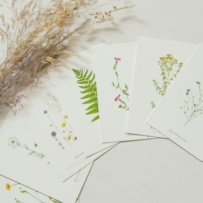 Set di 13 biglietti floreali • Collezione Botanica • A6 (buste incluse)