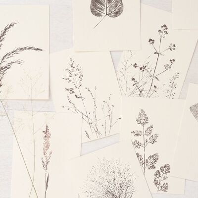 Set de 12 tarjetas de flores • Colección Empreintes • A6 (sobres incluidos)