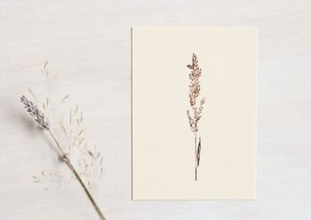 Lot de 10 cartes fleuries • collection Empreintes • A6 (enveloppes incluses) 6