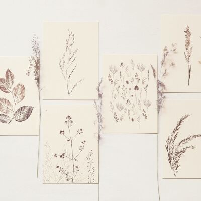 Set of 11 floral cards • Empreintes collection • A6 (envelopes included)