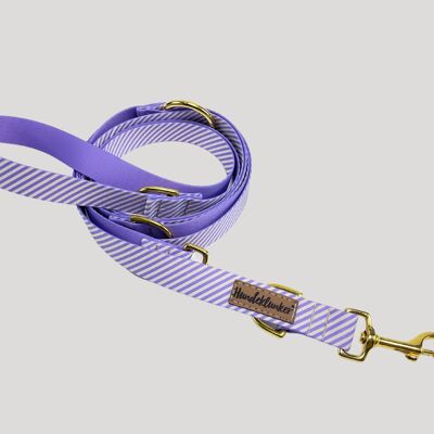 Dog leash Bon Voyage (rPet) 3m