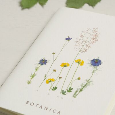 Cuaderno artesanal y natural "Prairie" • Colección Botanica • A5
