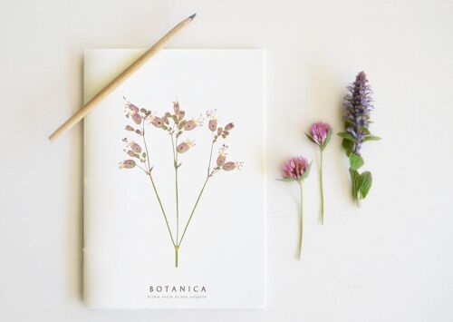 Carnet artisanal fleuri "Silène" • collection Botanica • A5