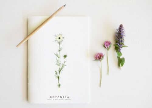 Carnet artisanal fleuri "Nigelle" • collection Botanica • A5 - papeterie faite-main