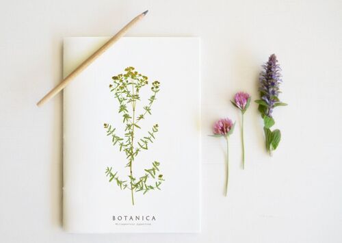 Carnet artisanal fleuri "Millepertuis" • collection Botanica • A5