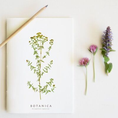 Cuaderno floral hecho a mano “Hierba de San Juan” • Colección Botanica • A5