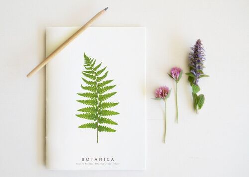 Carnet artisanal & naturel "Fougère" • collection Botanica • A5