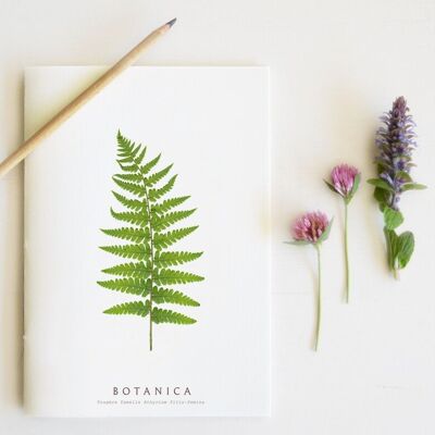 Carnet artisanal & naturel "Fougère" • collection Botanica • A5