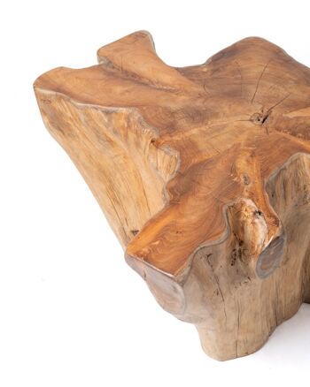 Table basse en bois de saman massif naturel Tronc rustique Licin, fait main avec finition naturelle, 45 cm Hauteur 165 cm Longueur 150 cm Profondeur, origine Indonésie 3