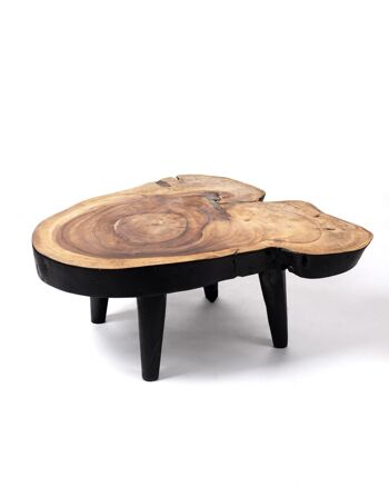 Table basse en bois de teck massif naturel Bau Bau, coffre rustique, finition naturelle faite à la main avec détails noirs, disponible en différentes tailles, origine indonésienne 1