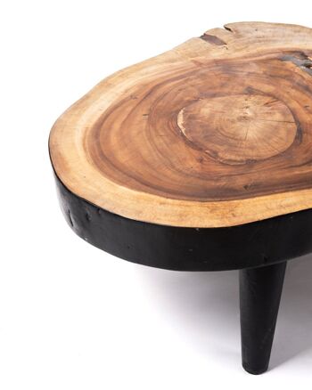 Table basse en bois de teck massif naturel Bau Bau, coffre rustique, finition naturelle faite à la main avec détails noirs, disponible en différentes tailles, origine indonésienne 2