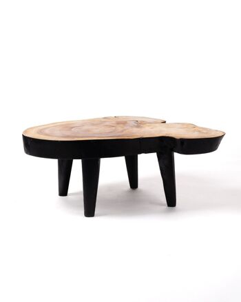 Table basse en bois de teck massif naturel Bau Bau, coffre rustique, finition naturelle faite à la main avec détails noirs, disponible en différentes tailles, origine indonésienne 3