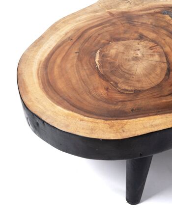Table basse en bois de teck massif naturel Bau Bau, coffre rustique, finition naturelle faite à la main avec détails noirs, disponible en différentes tailles, origine indonésienne 7