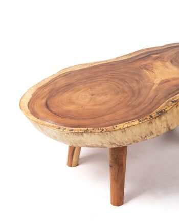 Table basse en bois massif naturel Puna saman, tronc rustique, ovale, fait main avec finition naturelle et pieds en bois, 52 cm Hauteur 140 cm Longueur 70 cm Profondeur 12 cm Épaisseur de la table, origine Indonésie 4