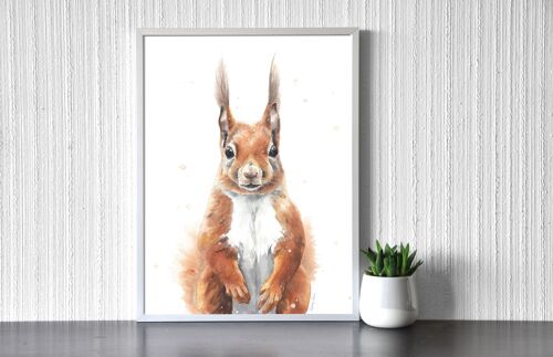 Squirrel Portrait - Art Print