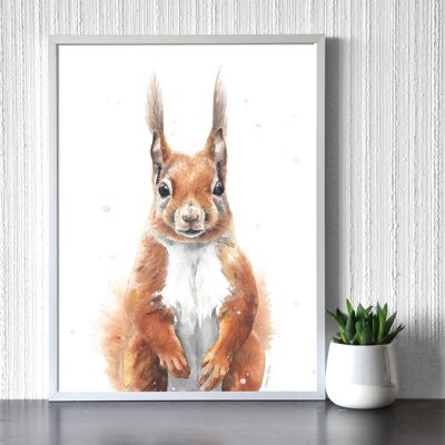 EichhörnchenPortrait - Kunstdruck