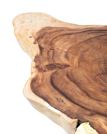 Table basse en bois de saman massif naturel Malle rustique Samama, faite à la main avec finition naturelle et pieds en bois, 45 cm Hauteur 165 cm Longueur 150 cm Profondeur, fabriquée en Indonésie 3
