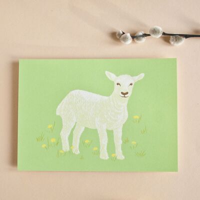 Postcard Lamb | Easter card in A6 format