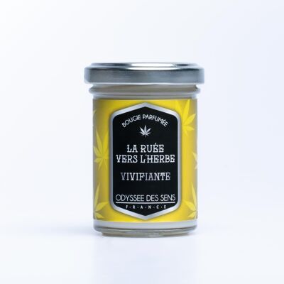 LA RUEE VERS L'HERBE Bougie 80g VIVIFIANTE/CITRON