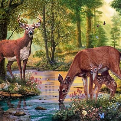 Peinture diamant cerfs, 60x40 cm, forets ronds