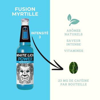 White Lion Natural Drink : Lot 4 Saveurs (6 bouteilles de chaque saveurs) 6