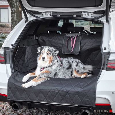 Limpiar la cubierta del maletero del coche.