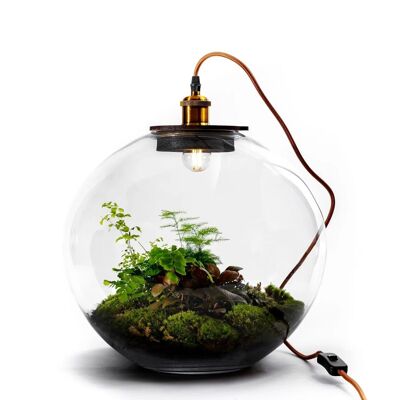 Demeter Botanical - Terrarium avec lampe et standard - 40cm