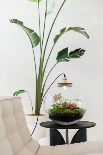 Demeter Botanical - Terrarium avec lampe et standard - 40cm 3
