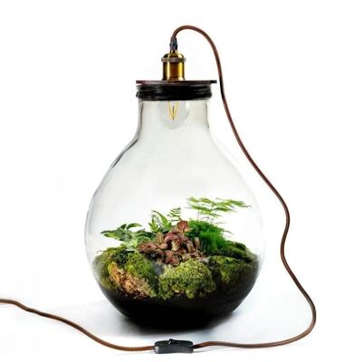 Ecolight XL Botanical -  Terrarium met lamp - 45cm