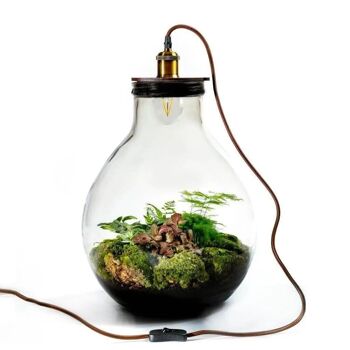 Ecolight XL Botanical - Terrarium avec lampe - 45cm 1