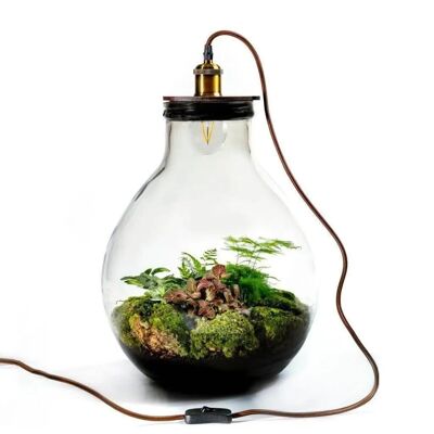 Ecolight XL Botanical - Terrarium avec lampe - 45cm