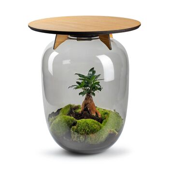 Ceres Bonsai - Table pour terrarium - 45cm 1