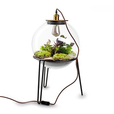 Botánico Demeter incl. standaard - Lámpara de terrario con metal - 80 cm
