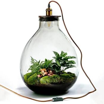Ecolight XXL Botanical - Terrarium avec lampe - 55cm 1