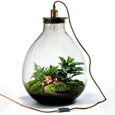 Ecolight XXL Botanical - Terrarium avec lampe - 55cm