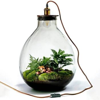 Ecolight XXL Botanical - Terrarium avec lampe - 55cm 4