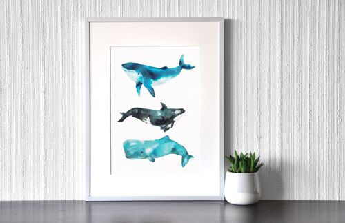 Whale Trio - Art Print