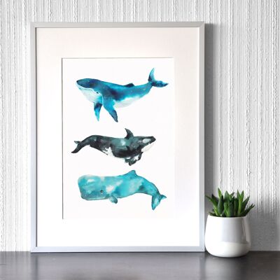 Trio de baleines - Impression d’art