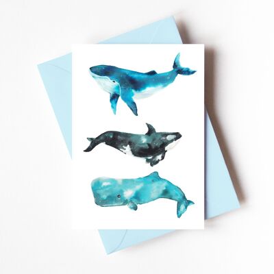Trio de baleines - Carte de vœux