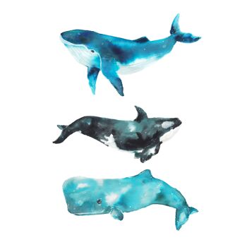 Trio de baleines - Carte de vœux 2
