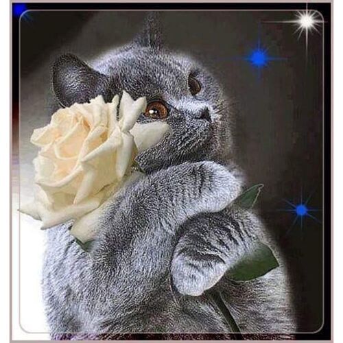 Diamond Painting Kitten hugs a flower, 30x40 cm, Round Drills