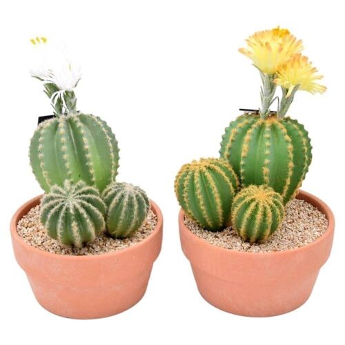 Cactus Artificiel 37 Cm