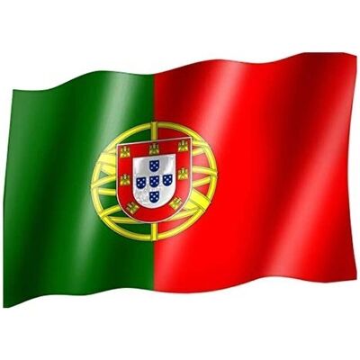 Bandera Portugal Fútbol 90*150Cm
