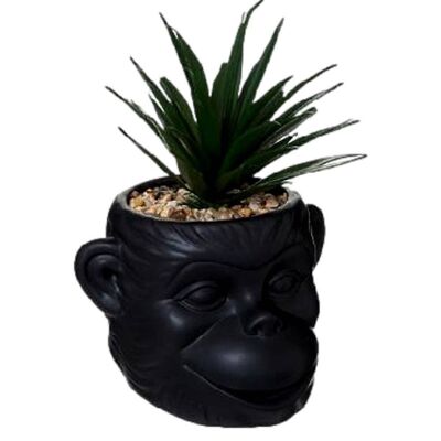 Planta artificial cabeza de mono