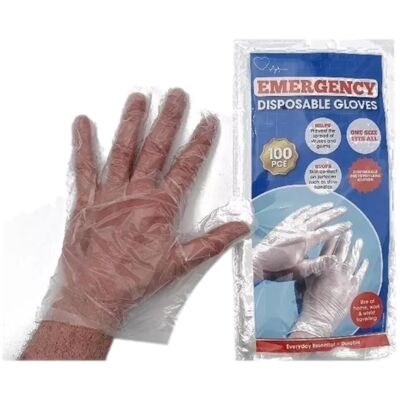 Pouch of 100 Disposable Hygienic Gloves